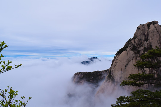 黄山云海