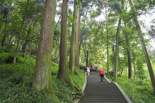 青城山