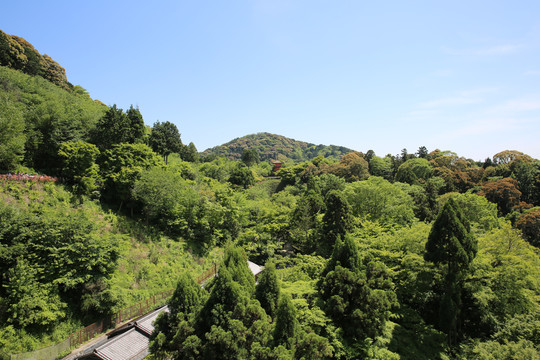 日本风景