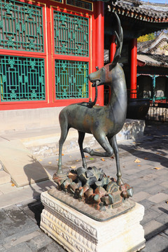 颐和园乐寿堂铜鹿