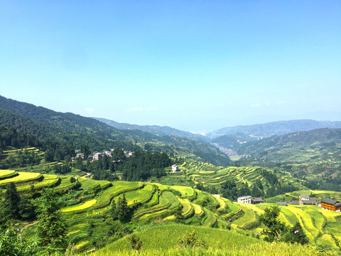 梯田