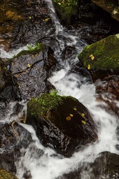 山泉