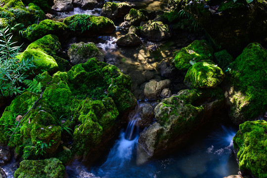 苔藓溪流水流