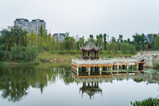湿地公园