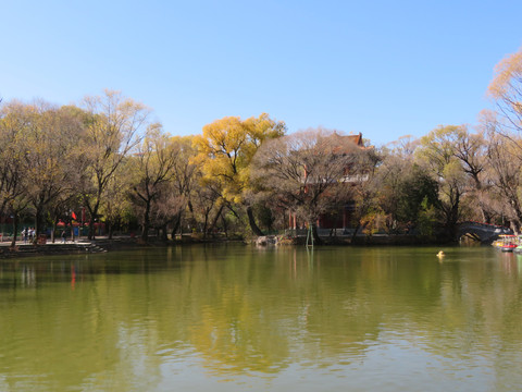 柳湖秋景