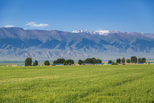 新疆巴里坤草原