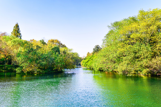 西湖风景