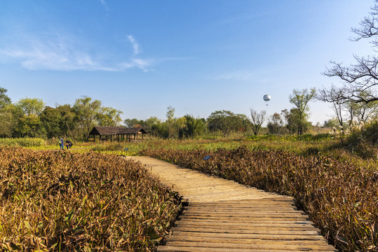 西溪湿地