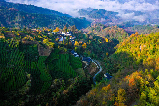 山村风光