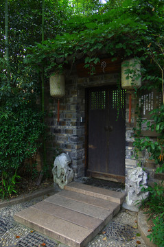 小院门前竹子