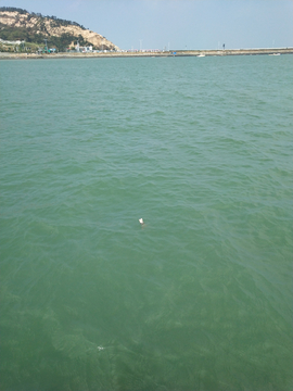 海边