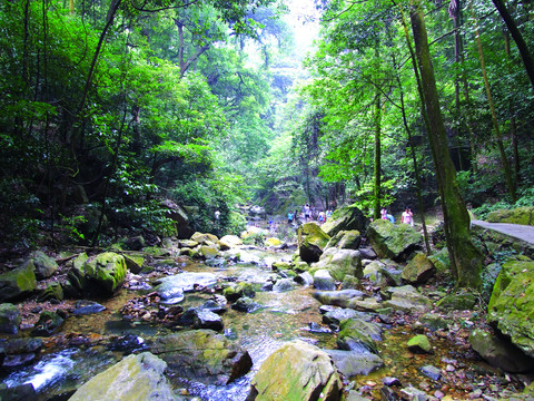 鼎湖山