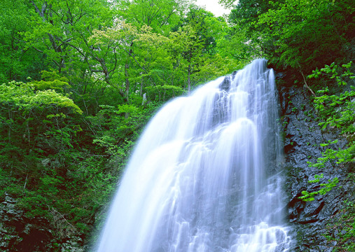 鼎湖山