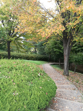 秋天公园的石阶小路