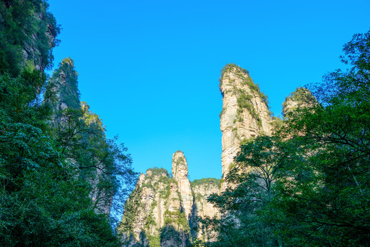 张家界金鞭溪周边山景