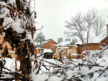 雪景