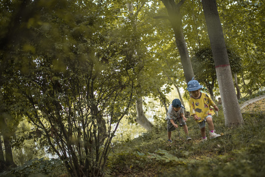 小男孩与小女孩在树林里捉虫