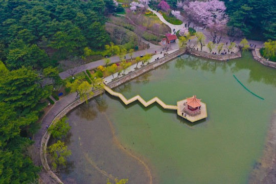 青岛中山公园小西湖