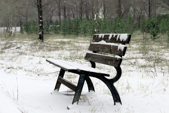 雪后的公园长条靠背椅