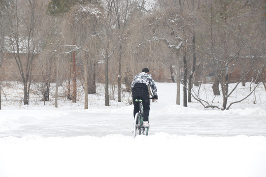 冬天雪地里骑单车自行车的小男孩
