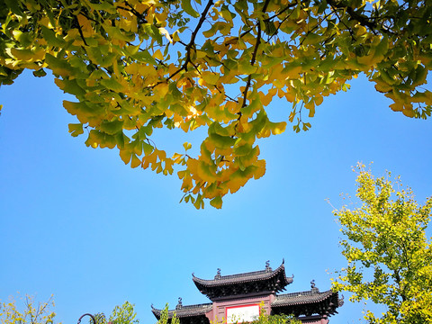 黄鹤楼公园