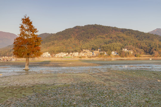 黄山奇墅湖