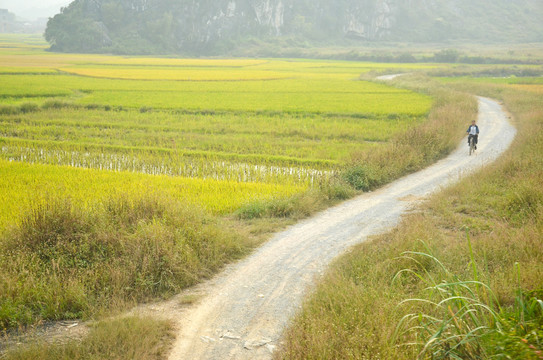 乡间道路