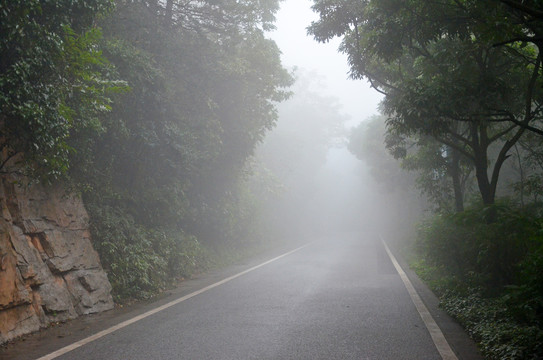 雾天道路