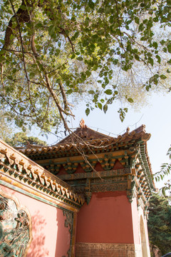 北陵公园
