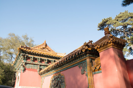 公园中的古代建筑