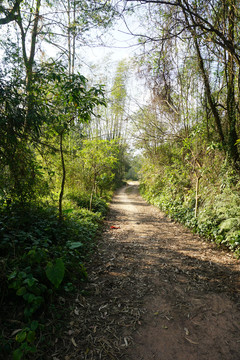 乡间泥路