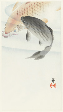 小原古村两条鲤鱼