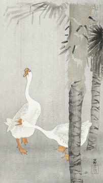小原古村大雨中的驯鹅