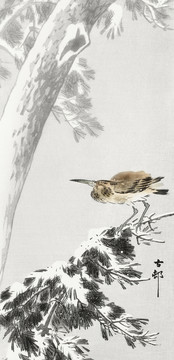 小原古村多雪的树枝上的鸟