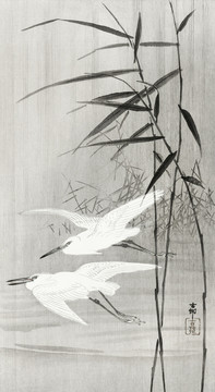 小原古村飞行中的两只白鹭