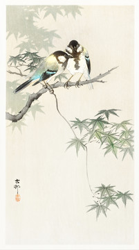 小原古村枫树枝上的大山雀