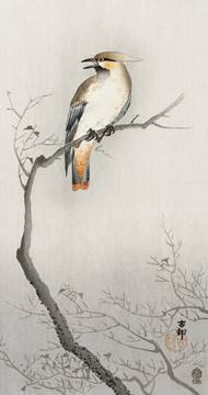 小原古村鸟在树枝上