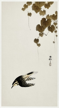 小原古村藤与飞鸟