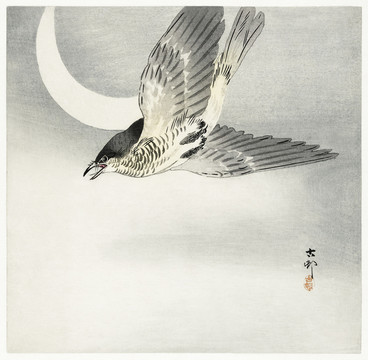 小原古村新月的杜鹃