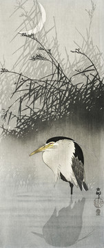 小原古村新月下的苍鹭