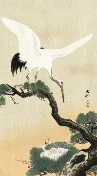 小原古村松树上的日本鹤