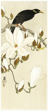小原古村玉兰