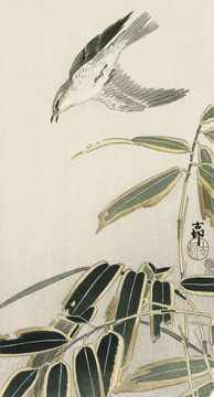 小原古村竹制麦角虫