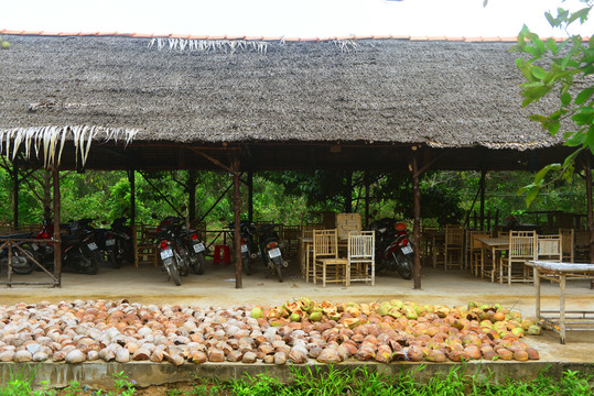 越南美托湄公河的农家乐餐厅