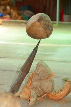 越南椰子糖作坊椰子剥皮的锥子