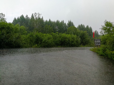 下雨的森林