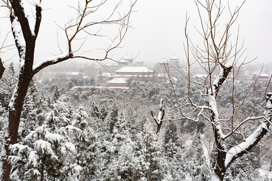 北京雪景风光