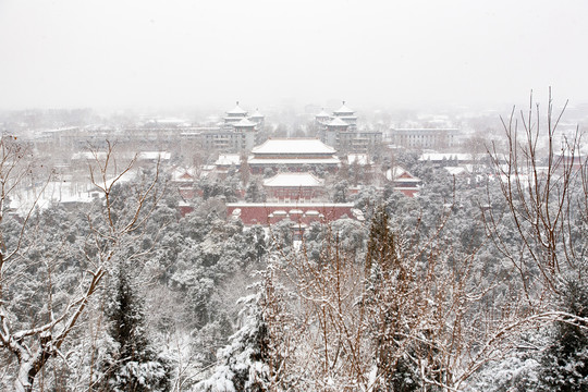 北京雪景风景