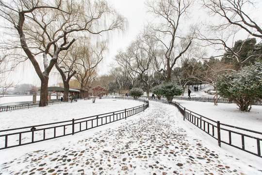 北京雪景风光