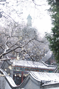 北京北海白塔雪景风光